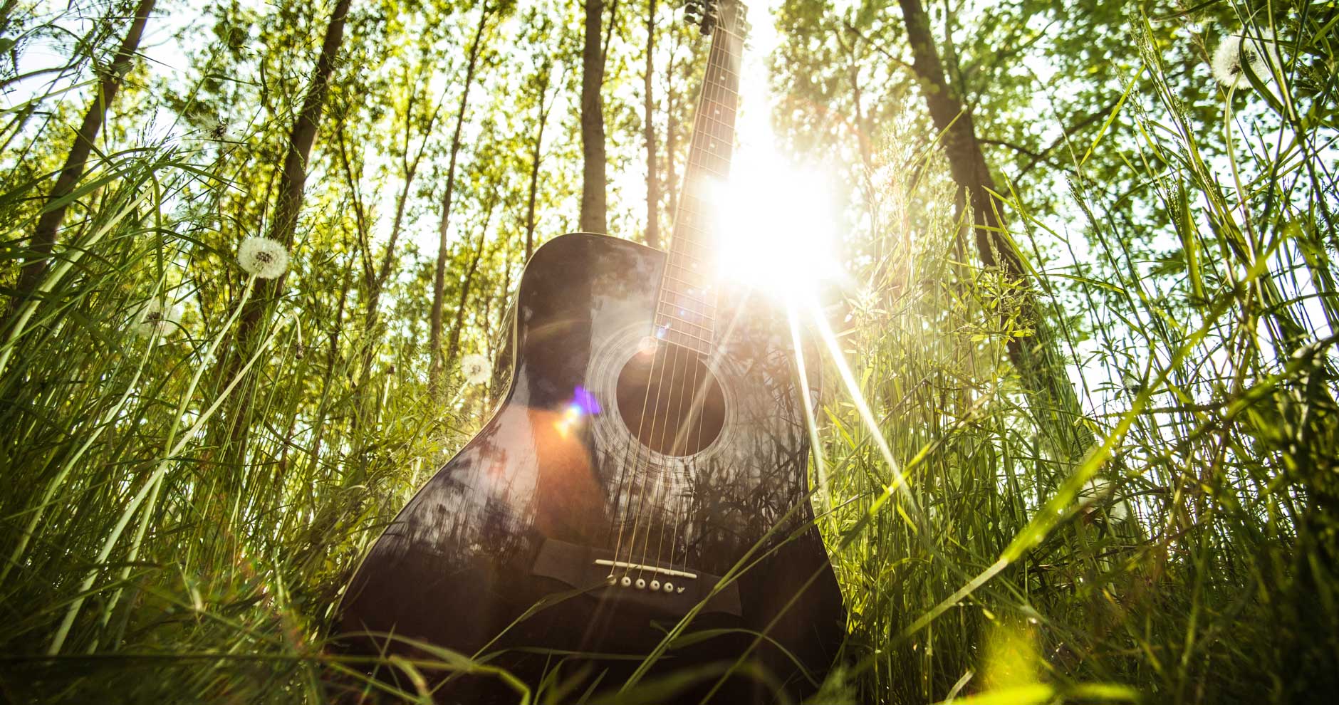 8 Ways To Be A More Eco-Friendly Musician!