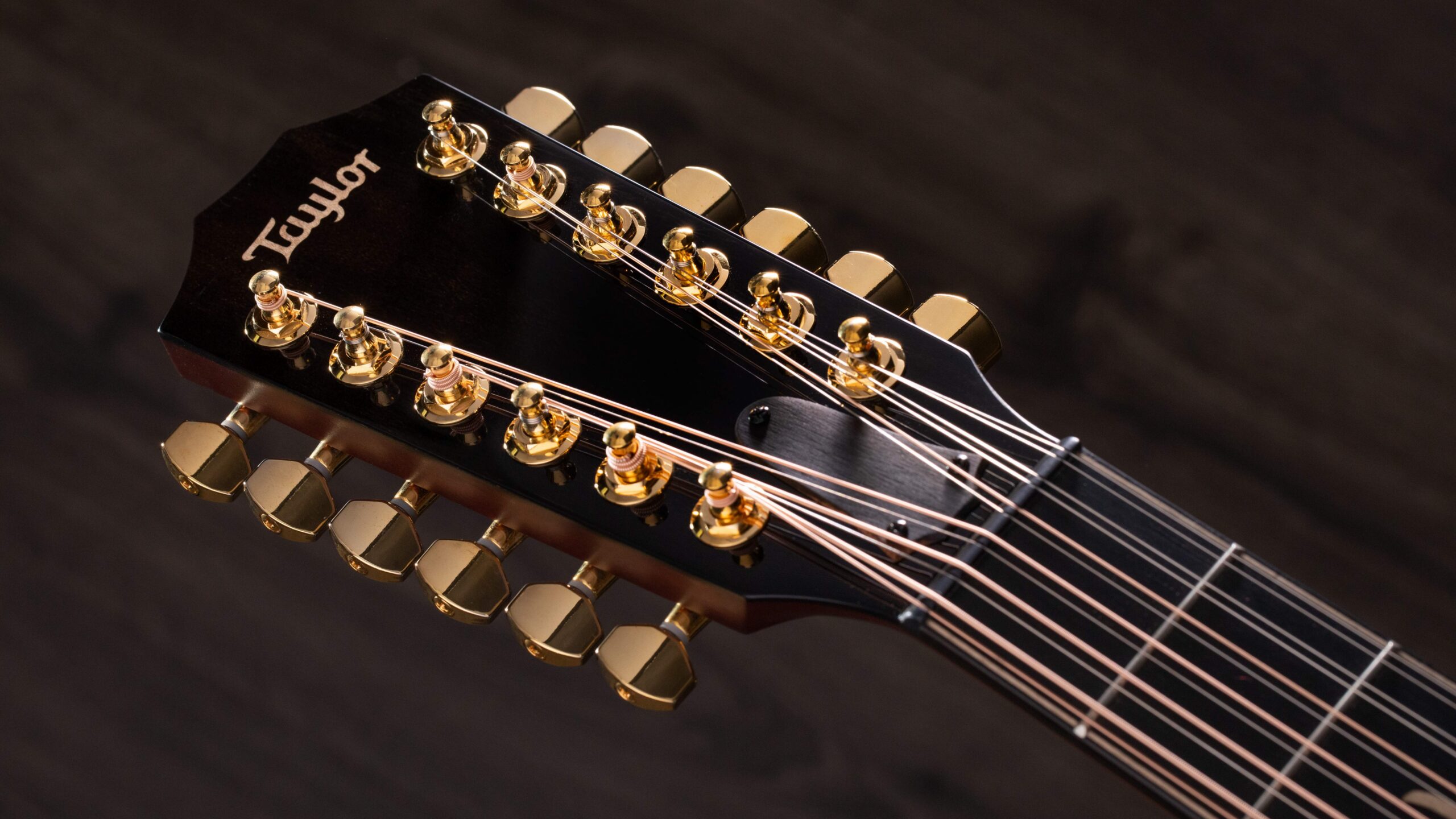 What is a 12-String Acoustic Guitar and Why Do You Need One?