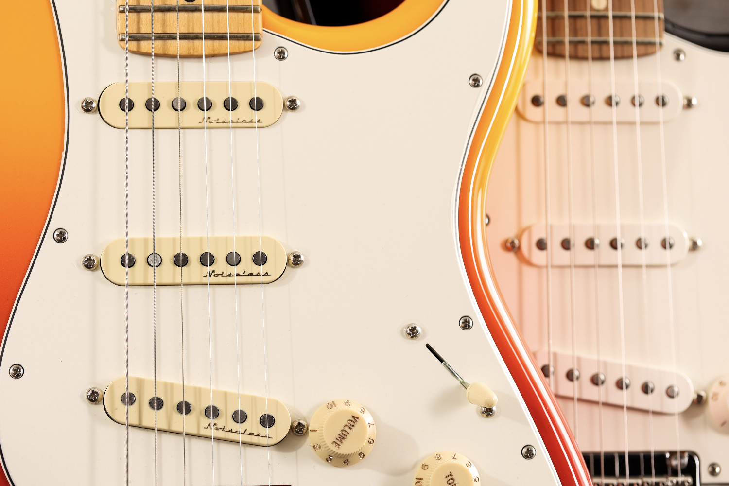 Fender Player Plus vs Player Series Noiseless Pickups