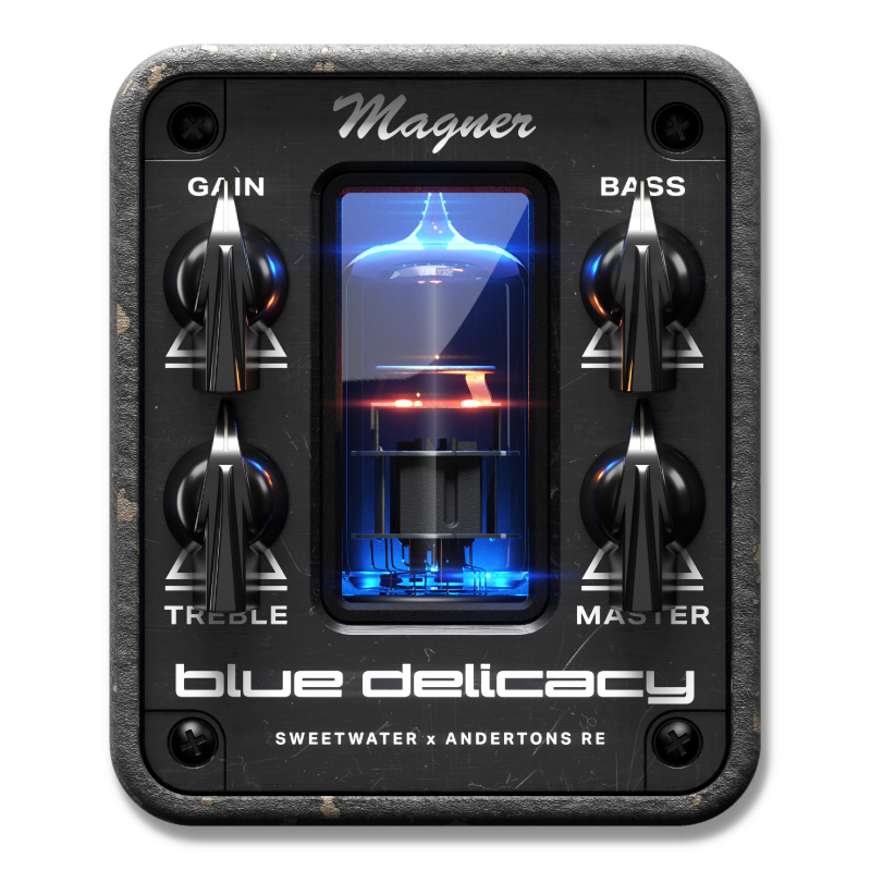 guitar essentials package for the darkglass anagram guitar